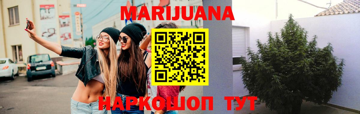 Мегион  Каннабис White Widow  Канабис план  Вход с VPN  Шишки марихуана планчик  Конопля Ganja 